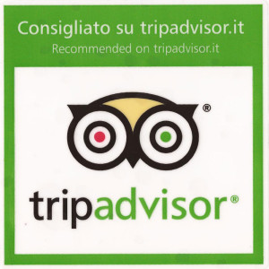 tripadvisor